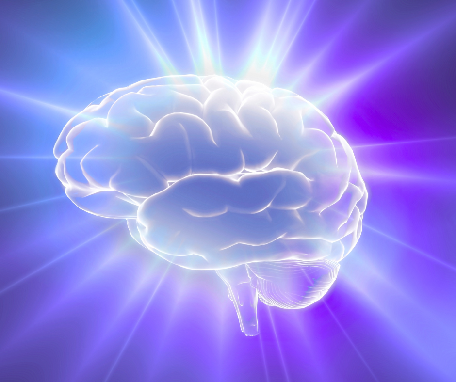 Black Friday Special! Quantum Upgrade - Expires 12/5